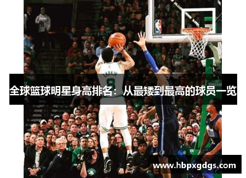 全球篮球明星身高排名：从最矮到最高的球员一览