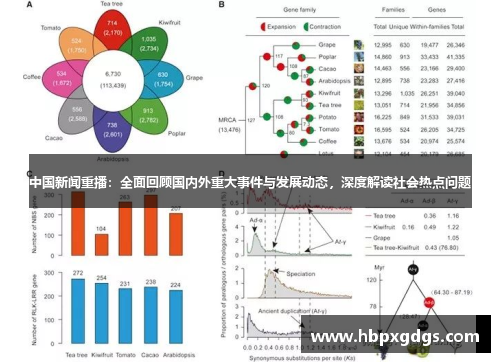 中国新闻重播：全面回顾国内外重大事件与发展动态，深度解读社会热点问题