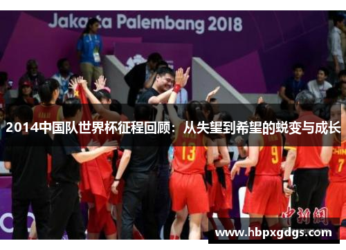2014中国队世界杯征程回顾：从失望到希望的蜕变与成长