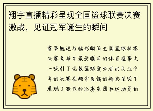 翔宇直播精彩呈现全国篮球联赛决赛激战，见证冠军诞生的瞬间